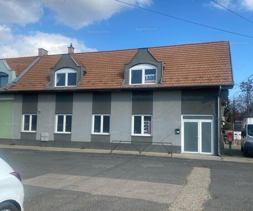 HALÁSZTELEK 236 m² TÖBBCÉLÚ INGATLAN